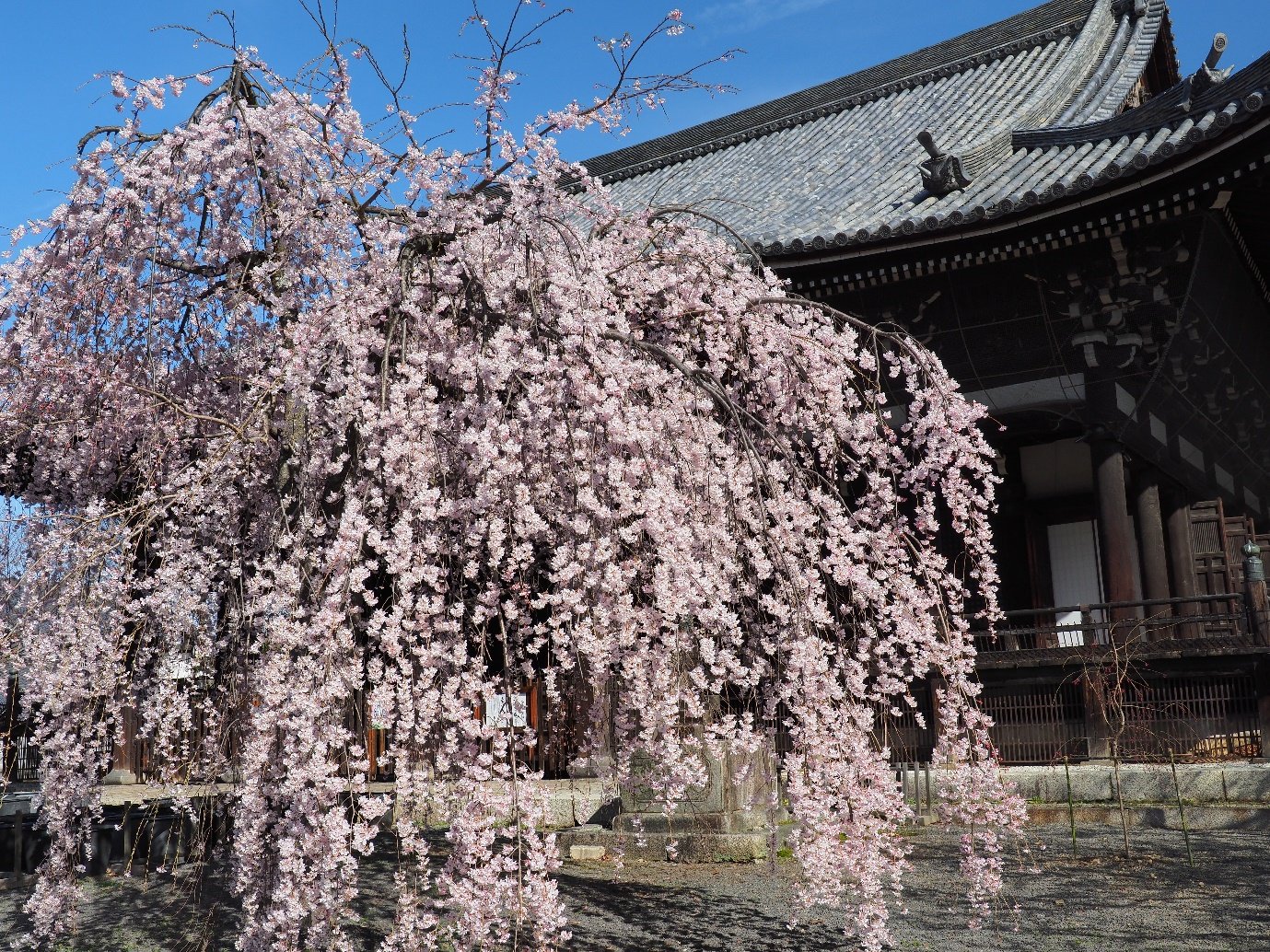🏯 비사문당 문적(비샤몬도 몬제키) 이미지 10